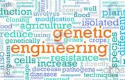 Admission in Genetic Engineering in SRM University Chennai