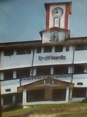 Graduation in one year,  Hindi vidyapith deoghar,  Direct admission in universities