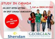 TOP IELTS Coaching in Punjab