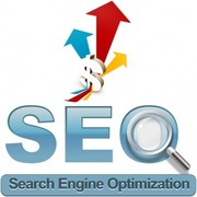 Professional SEO Course