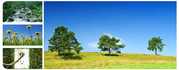 Lead Auditor Training Course IRCA,  UK Approved  on ISO 14001 EMS