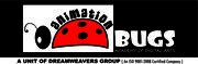 Animation Bugs offers courses in Multimedia