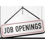 Start carrier in computer hardware & networking and earn money.
