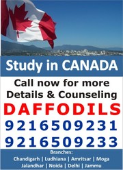   Daffodils Study VISA consultant in Chandigarh
