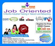 6 months training in chandigarh