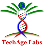 Get Admission in leading online Marketing Training Institute Delhi Noi