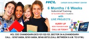 Six Weeks/Months Industrial Training