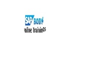 SAP BW Webirich 4.0 Online training  in chandigarh