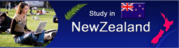 What it is like to study in New Zealand?