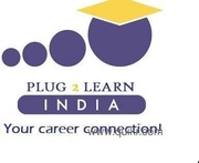 Salesforce Training at Plug2Learn Pvt. Ltd.
