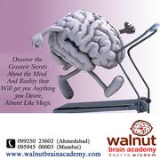 Midbrain Activation Walnut Brain Academy