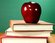German Metropolitan International School-GMI School