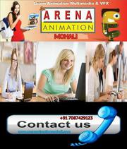 Arena 3D Animation Institute in Mohali,  Punjab