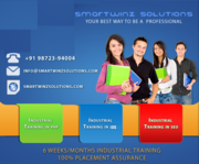 Six Months/Six weeks Industrial Training in Smartwinz