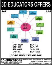 3D Educators Offers SAP
