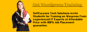 Enjoy Special Offers on Wordpress Training At SoftCrayons Tech Solutio
