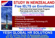 Paid internship based study in Newzealand