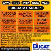 SPRINGS & HIBERNATE Training Institute in NCR