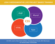 6 Months PHP Training in Chandigarh - Indi IT Academy
