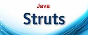 Struts Training Institute in Gurgaon | JAVA Struts Training in Gurgaon