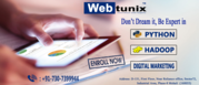 Python Development Company In Chandigarh