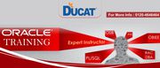 oracle certification course offer by ducatindia