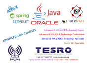 Networking Software & Management Training Institute 