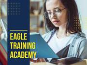 PROFESSIONAL COMPUTER EDUCATION-EAGLE TRAINING ACADEMY 