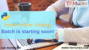 python language online training