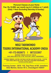 TAEKWONDO MARTIAL ARTS CLASSES IN CHANDIGARH,  PERSONAL CLASSES