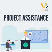 Project Service by VertexSoft.