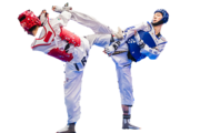 ONLINE TAEKWONDO CLASSES CHANDIAGRH