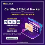 Best Ethical Hacking Course