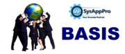 SAP Basis Course in Delhi
