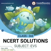 ncert solutions class 3 EVS