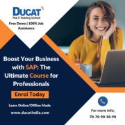 Boost Your Business with SAP: The Ultimate Course for Professionals