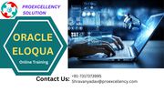 Proexcellency Solution conducting Oracle Eloqua online training