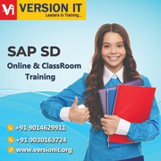 Sap Sd Training In Hyderabad | Sap Sd Training Institutes In Hyderabad