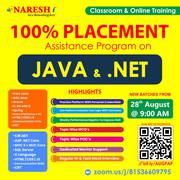100% Placement Assistance Program On Java Developer & Dot Net - Naresh