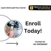Elevate Your Skills: TechVidyaa's Comprehensive Online IT Training