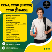 CCNA CCNP combo Enterprise core Training 