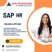 Avina Technologies - Best sap hcm online Training Institutes in Hydera