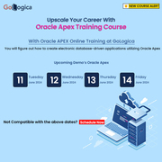 Elevate your skills in Oracle APEX with GoLogica Complete Online Train