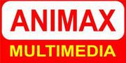 Best web development training institute in coimbatore - Animax 