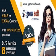 SAP ABAP on HANA | SAP S4 HANA Online  Training in Ameerpet | Igrowsof