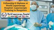 Fellowship & Diploma at World Laparoscopy Hospital
