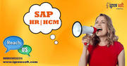 SAP HR HCM online training institutes in Hyderabad | Igrowsoft