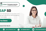 SAP SD course in Hyderabad
